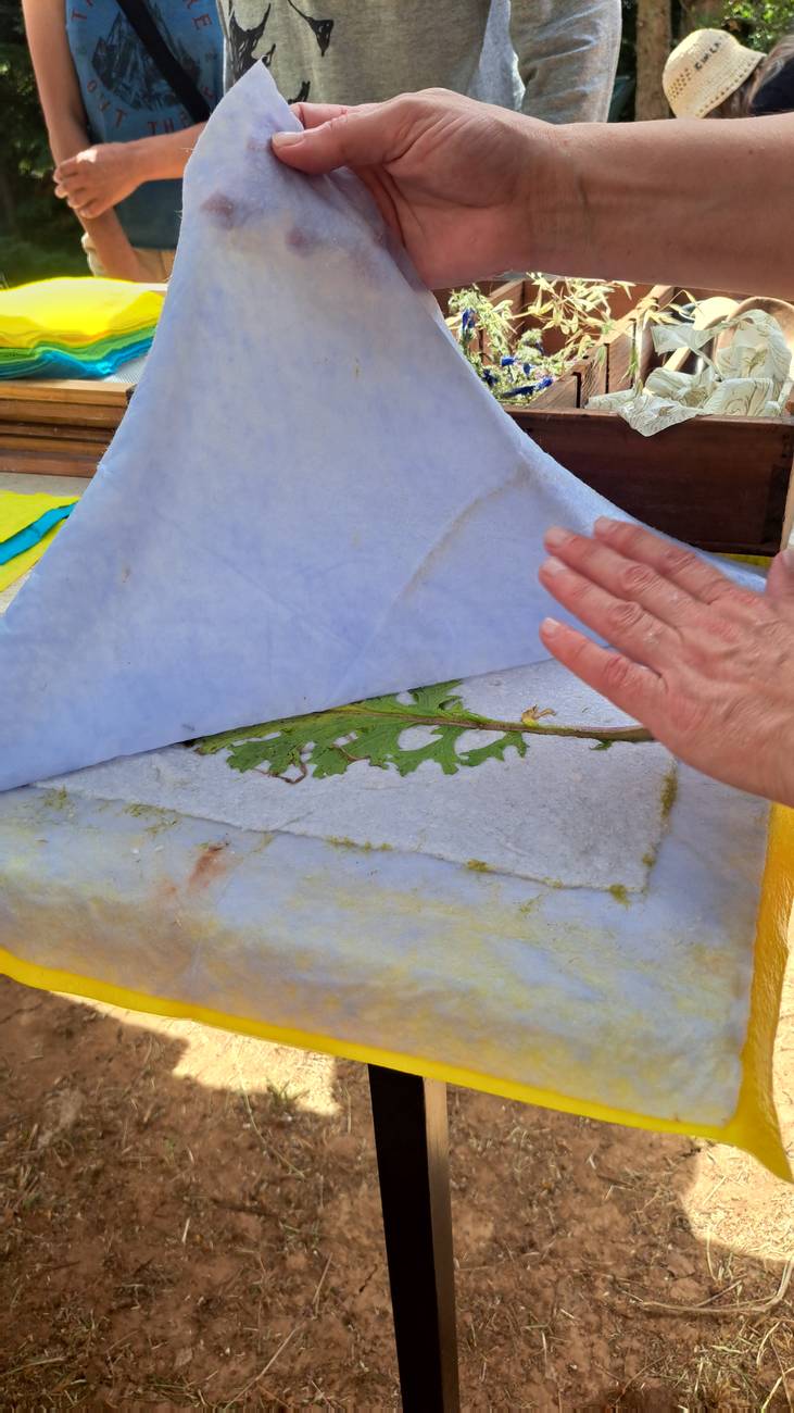 Mãos a levantar uma folha de papel revelando uma planta